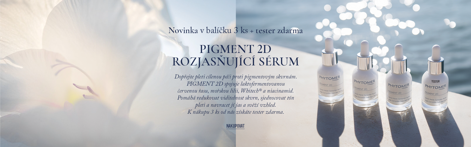 Pigment 2D 3+T